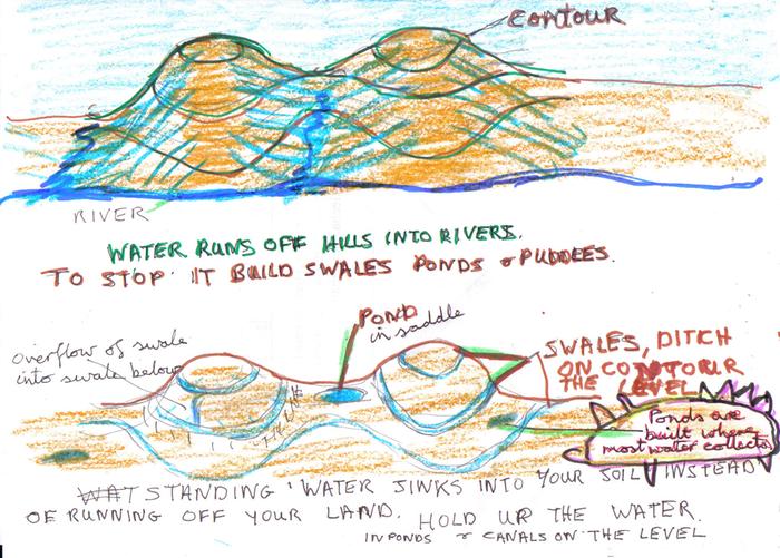 [Thumbnail for oercikation ponds and swales..jpg]